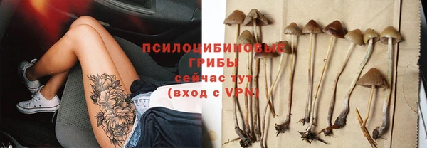 apvp Волосово
