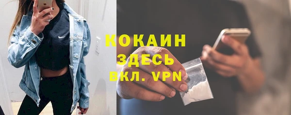 шишки Володарск