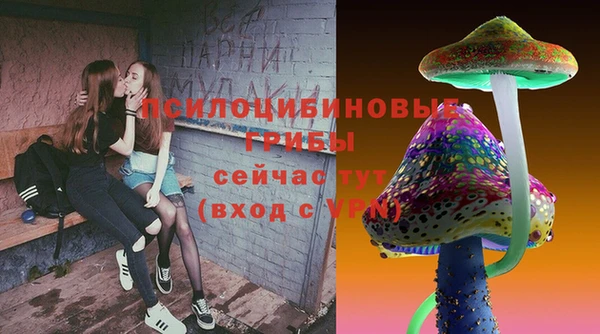 шишки Володарск