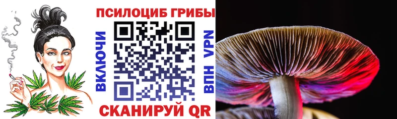 Псилоцибиновые грибы Cubensis  где найти наркотики  Покачи 