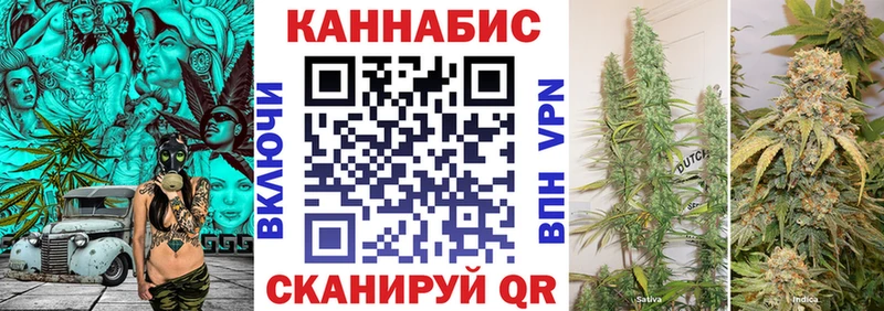 Шишки марихуана план  купить наркотики сайты  Покачи 